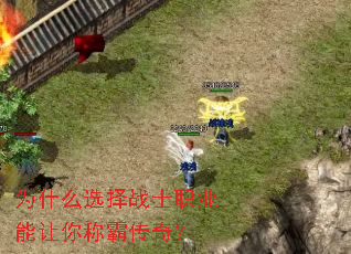 Ϊʲôѡ��սʿְҵ������ưԴ��棿