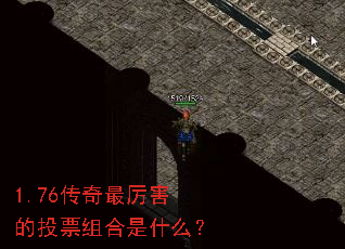 1.76������������ͶƱ�����ʲô��