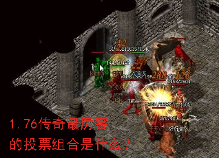 1.76������������ͶƱ�����ʲô��