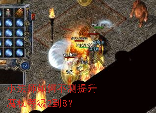 С��ʦ��β�������ħ�ȵȼ�2��8��