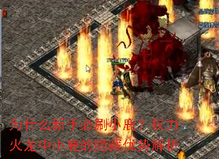 Ϊʲô���ֱ�ˢС¹��Ȩ��������С¹���������ƽ���