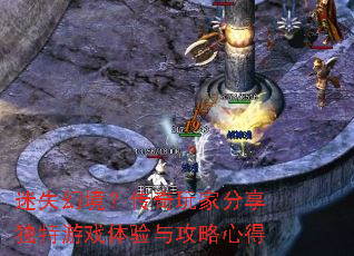 ��ʧ�þ���������ҷ���������Ϸ�����빥���ĵ�