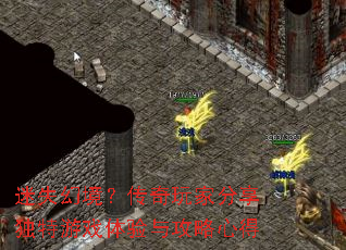 ��ʧ�þ���������ҷ���������Ϸ�����빥���ĵ�