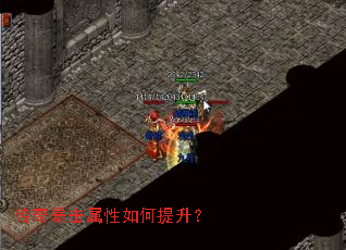 ���汩���������������