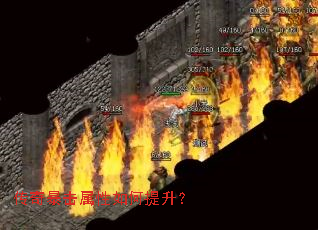���汩���������������