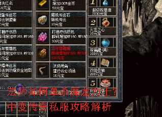 ��ʦ��ε�ɱħ����ʿ���б䴫��˽�����Խ���