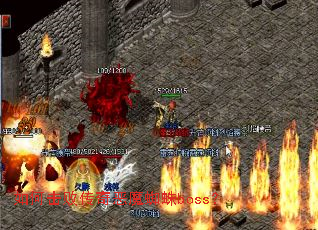 ��λ��ܴ����ħ֩��boss��