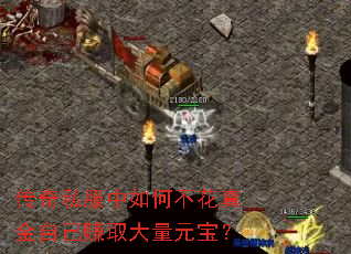 ����˽������β�������Լ�׬ȡ����Ԫ����