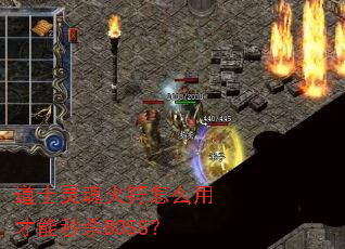 ��ʿ�������ô�ò�����ɱBOSS��