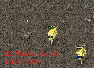 ��ʿ�������ô�ò�����ɱBOSS��