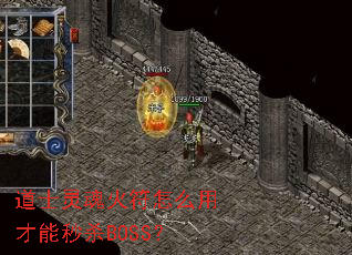 ��ʿ�������ô�ò�����ɱBOSS��