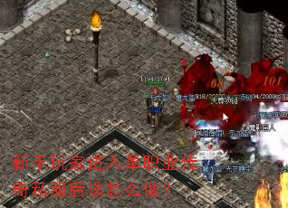 ������ҽ��뵥ְҵ����˽�������ô����