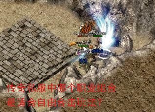����˽�����ĸ�ְҵ������ʺ����ɺϻ��淨��