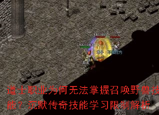 ��ʿְҵΪ���޷������ٻ�Ұ�޼��ܣ���Ĭ���漼��ѧϰ���ƽ���
