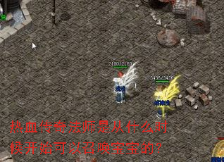 ��Ѫ���淨ʦ�Ǵ�ʲôʱ��ʼ�����ٻ������ģ�