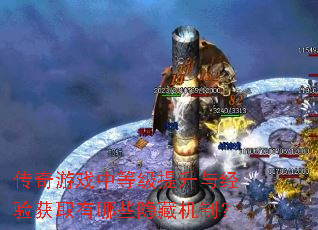 ������Ϸ�еȼ������뾭���ȡ����Щ���ػ��ƣ�