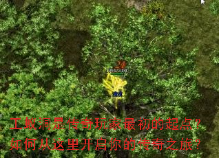 ���϶��Ǵ�������������㣿��δ����￪����Ĵ���֮�ã�