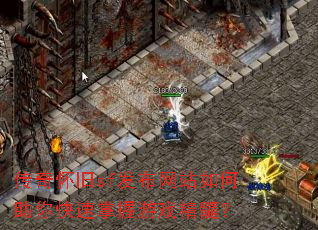 ���滳��sf������վ����������������Ϸ���裿