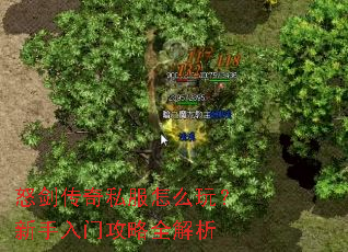 ŭ������˽����ô�棿�������Ź���ȫ����