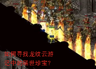 ���Ѱ���������μ��е�ϡ���䱦��