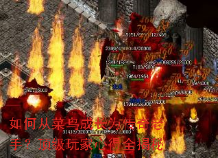 ��δӲ���ɳ�Ϊ�������֣���������ĵ�ȫ����