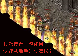1.76����������ο��ٴ���������������