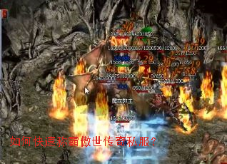��ο��ٳư԰�������˽����
