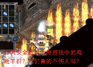 ��ΰ�ȫӦ�Դ�����Ϸ�еļ�¹��Ⱥ��������Ĳ�������