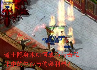 ��ʿ��������γ�Ϊ����˽���е�������͵Ϯ������