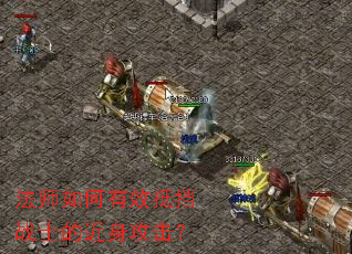 ��ʦ�����Ч�ֵ�սʿ�Ľ���������