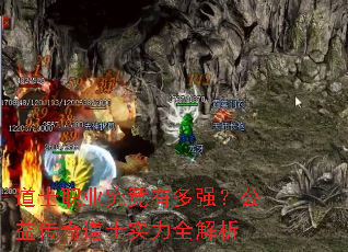 ��ʿְҵ�����ж�ǿ�����洫���ʿʵ��ȫ����