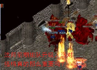 ��ʦǰ�����������ѡ�Դ�����ô��Ҫ��