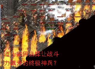 ��ʿ���ѡ����ս����������ռ������
