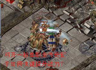 �տ�һ�뵥ְҵ����������ο�������ս����