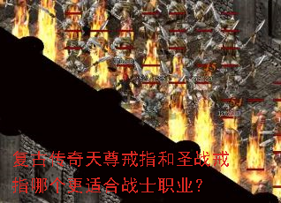 ���Ŵ��������ָ��ʥս��ָ�ĸ����ʺ�սʿְҵ��
