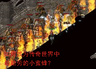 ��γ�Ϊ���������������͵�С�۷䣿
