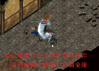 ��ɳ�ó�ֻ������֮ð�յ��㣿��ݴ��湥������ư�ȫ��