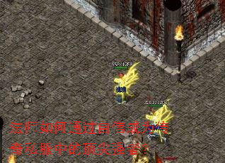 ��ʦ���ͨ�����ų�Ϊ����˽���еĶ���ǿ�ߣ�