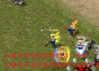 ��ι�����;�۷�BOSS������˽���汾���ռ����������ʶ�ɳ��