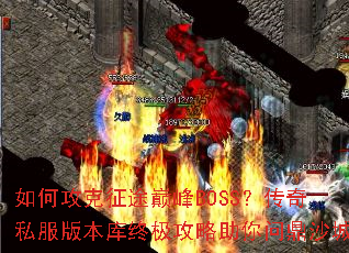 ��ι�����;�۷�BOSS������˽���汾���ռ����������ʶ�ɳ��