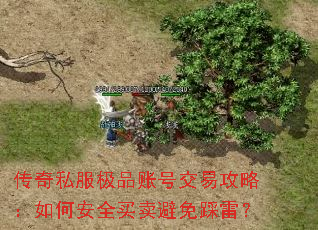 传奇私服极品账号交易攻略:如何安全买卖避免踩雷? 传奇私服极品账号交易攻略:如何安全买卖避免踩雷?