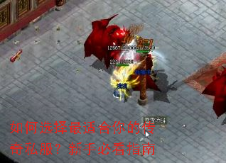 如何选择最适合你的传奇私服?新手必看指南 如何选择最适合你的传奇私服?新手必看指南