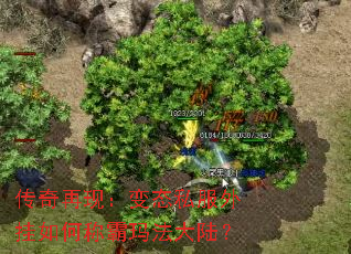 �������֣���̬˽�������γư��귨��½��