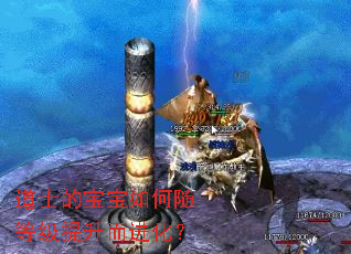 道士的宝宝如何随等级提升而进化? 道士的宝宝如何随等级提升而进化?