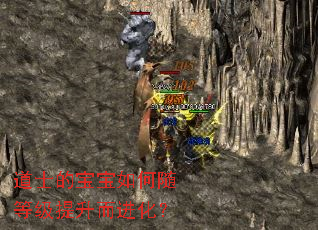 道士的宝宝如何随等级提升而进化? 道士的宝宝如何随等级提升而进化?