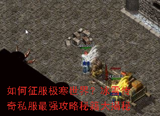 如何征服极寒世界?冰雪传奇私服最强攻略秘籍大揭秘 如何征服极寒世界?冰雪传奇私服最强攻略秘籍大揭秘