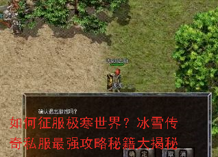 如何征服极寒世界?冰雪传奇私服最强攻略秘籍大揭秘 如何征服极寒世界?冰雪传奇私服最强攻略秘籍大揭秘