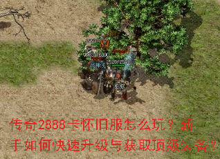 ����2888�����ɷ���ô�棿������ο����������ȡ����װ����