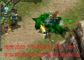 ����2888�����ɷ���ô�棿������ο����������ȡ����װ����