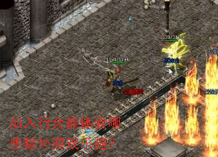 加入行会能体验哪些额外游戏乐趣? 加入行会能体验哪些额外游戏乐趣?